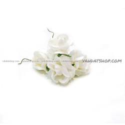 گل رز کاغذی سفید